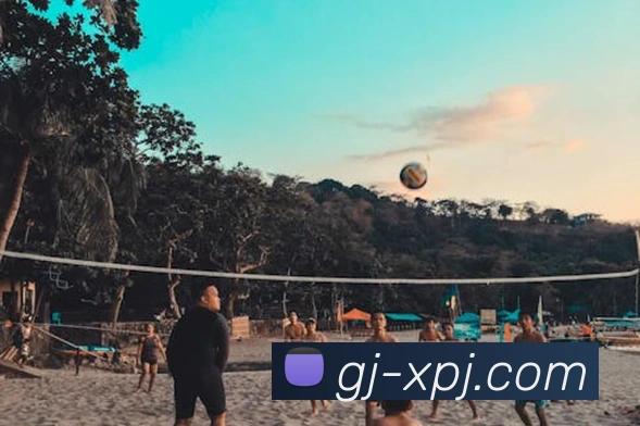 新葡京娱乐服务体系